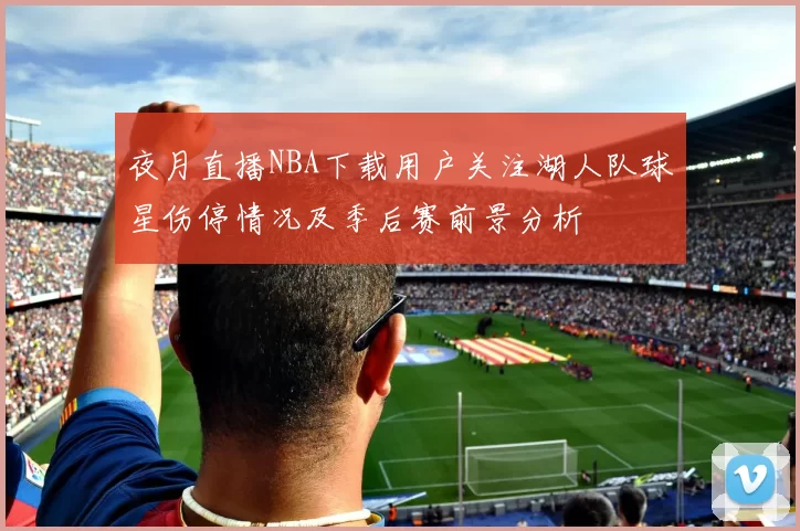 夜月直播NBA下载用户关注湖人队球星伤停情况及季后赛前景分析