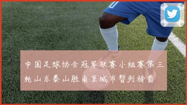 中国足球协会冠军联赛小组赛第三轮山东泰山胜南京城市暂列榜首