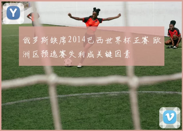 俄罗斯缺席2014巴西世界杯正赛 欧洲区预选赛失利成关键因素