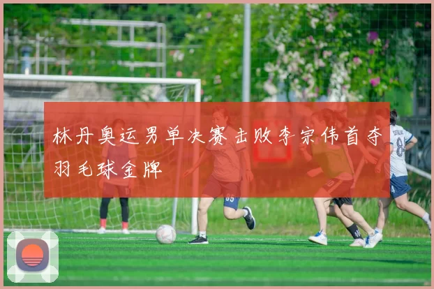 林丹奥运男单决赛击败李宗伟首夺羽毛球金牌