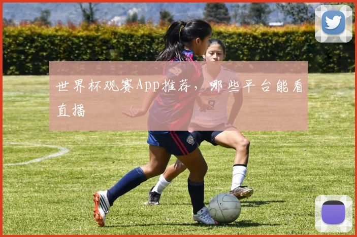 世界杯观赛App推荐，哪些平台能看直播