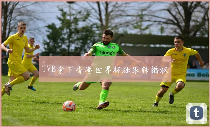 TVB拿下香港世界杯独家转播权