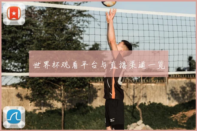 世界杯观看平台与直播渠道一览