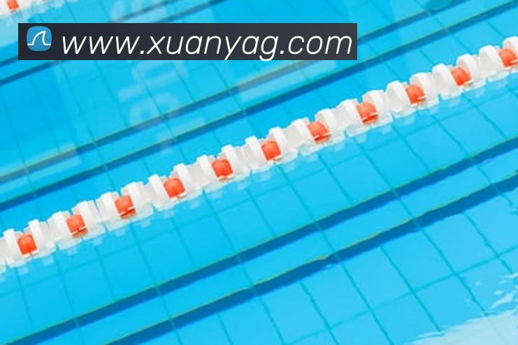 竞技宝官网 - 全球游戏赛事及体育赛事竞猜发展历程